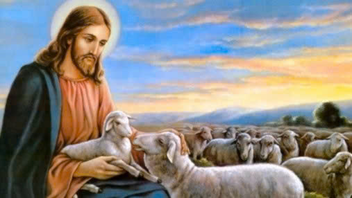 ''Ta l&agrave; cửa chuồng chi&ecirc;n''