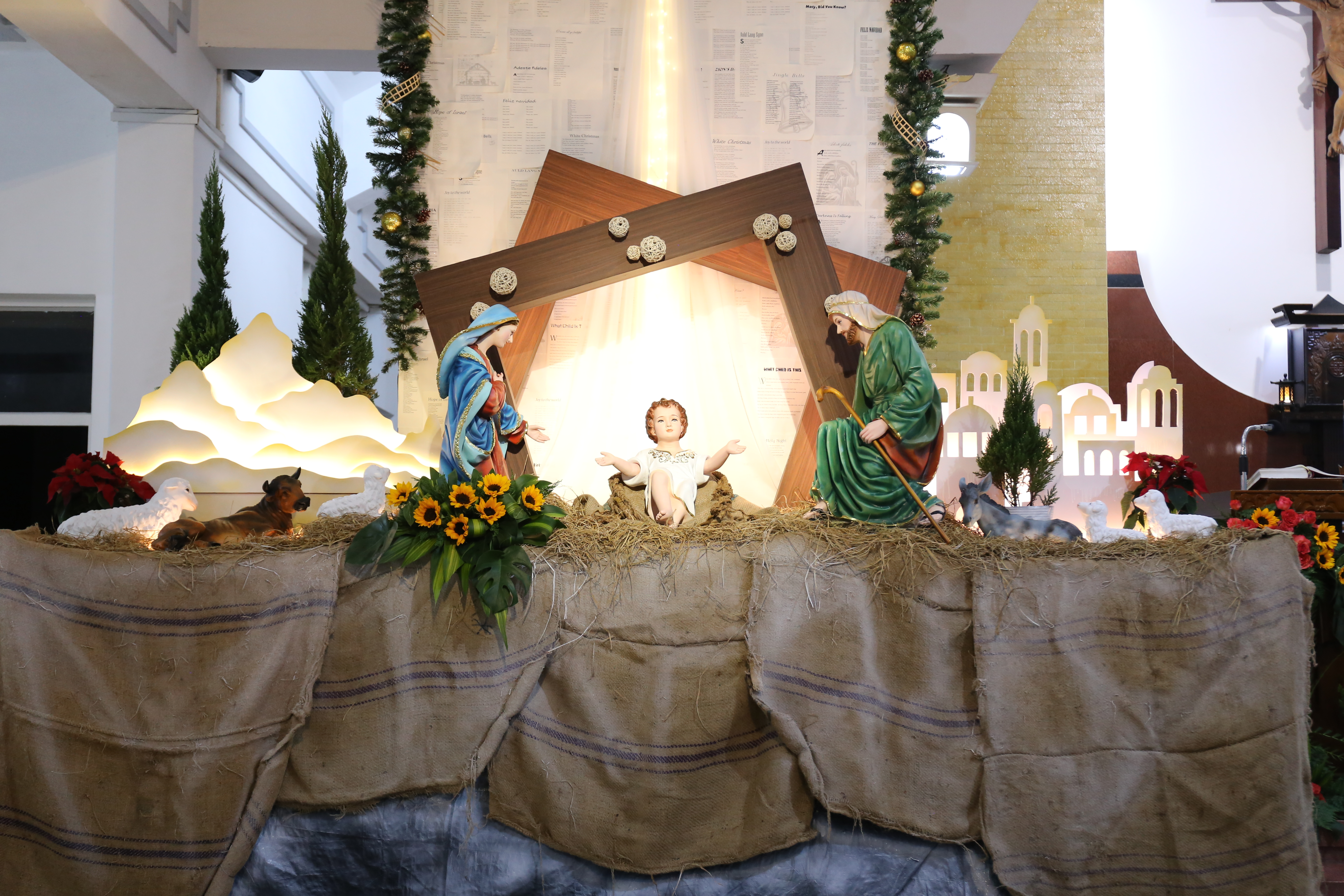 Album Đại Lễ Gi&aacute;ng Sinh 2025 tại Đại Chủng Viện